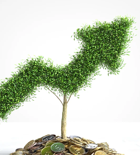 Growth Statistic