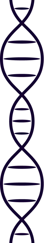 Shape