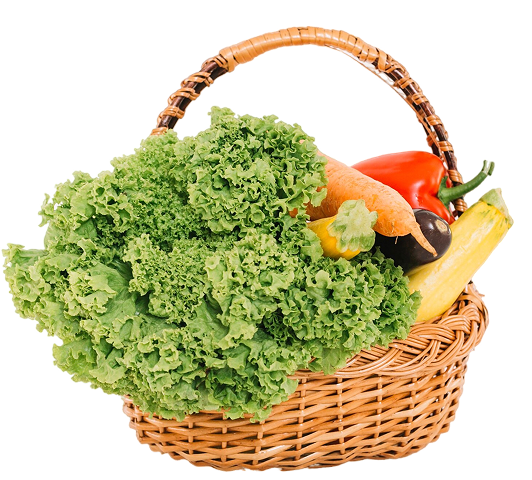 Meal essentials offer banner