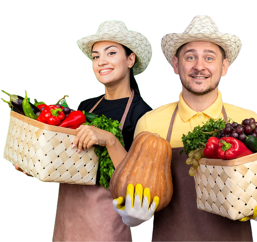 Fresh fruits