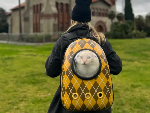 Eccommerce Blog Images