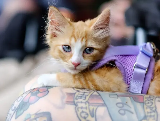 Eccommerce Blog Images