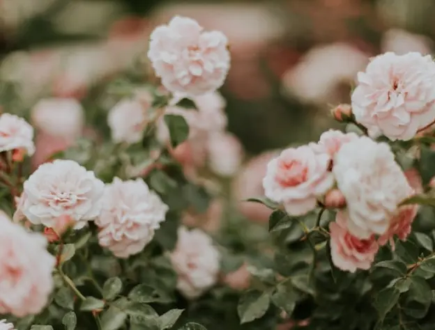 Eccommerce Blog Images