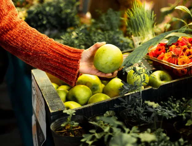 Eccommerce Blog Images