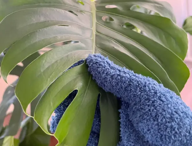 Eccommerce Blog Images