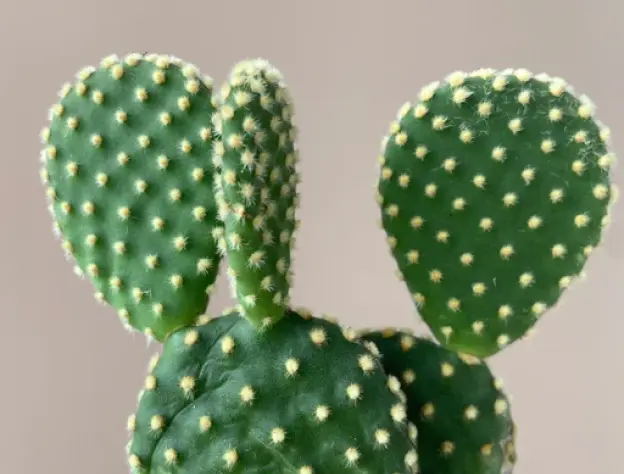 Eccommerce Blog Images