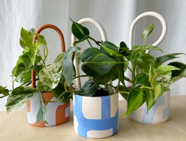 Eccommerce Blog Images