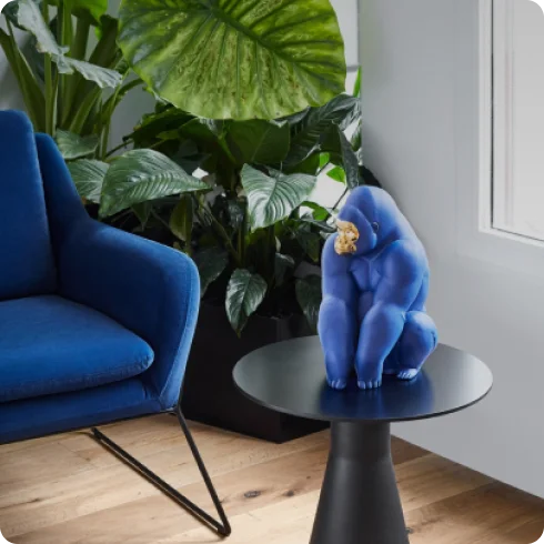 Ecommerce Brand Images