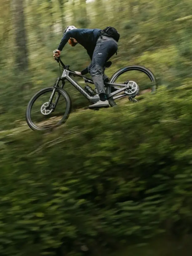 Catagory Product Images