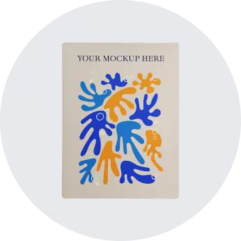 Catagory Product Images