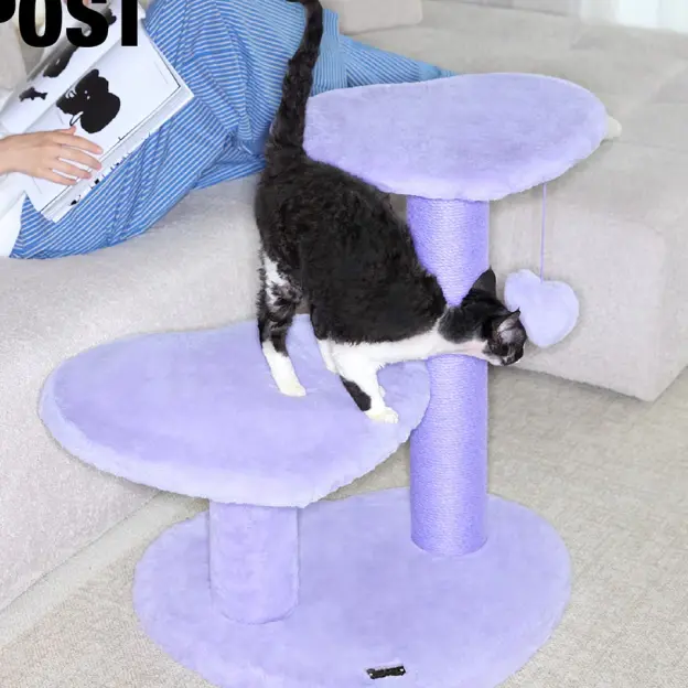 Catagory Product Images