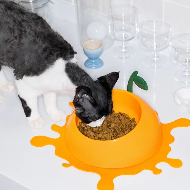 Catagory Product Images