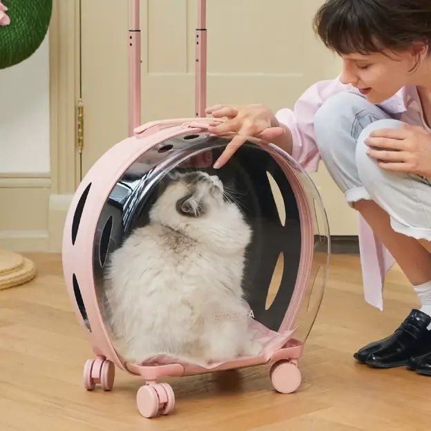 Catagory Product Images