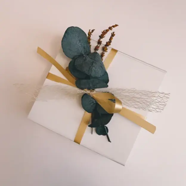 Catagory Product Images