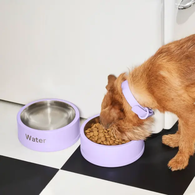 Catagory Product Images