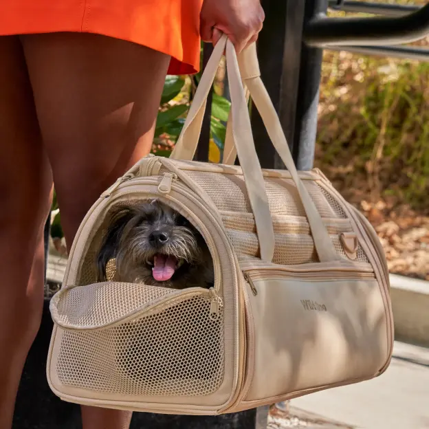 Catagory Product Images