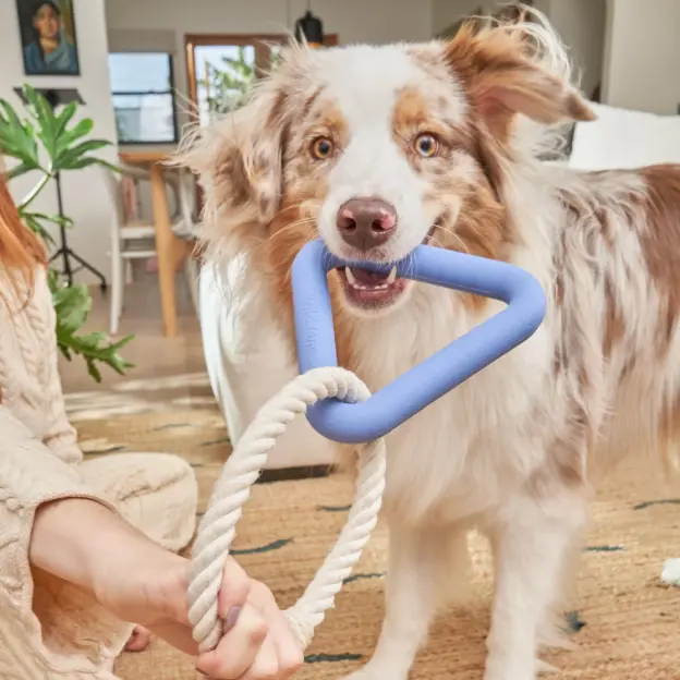 Catagory Product Images