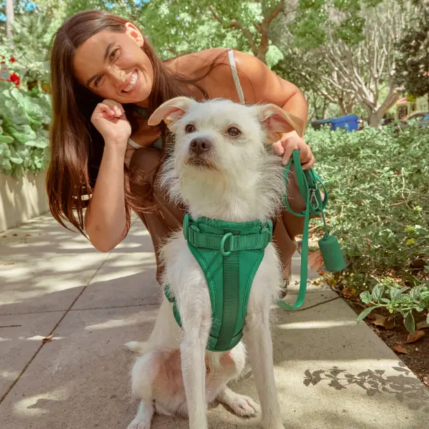 Catagory Product Images