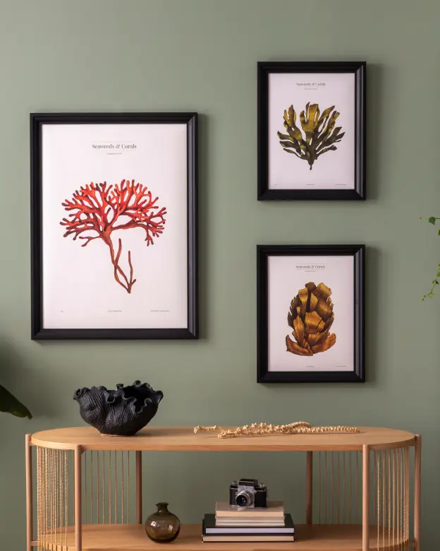 Catagory Product Images