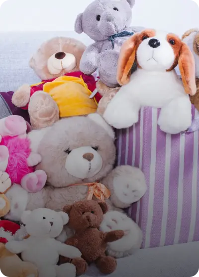 Catagory Product Images