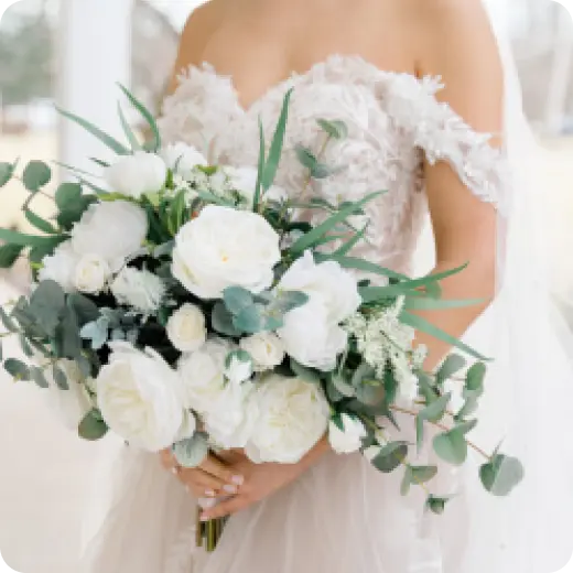 Catagory Product Images