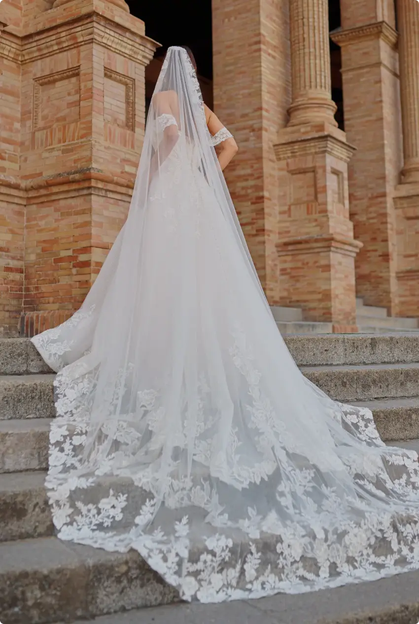 Catagory Product Images