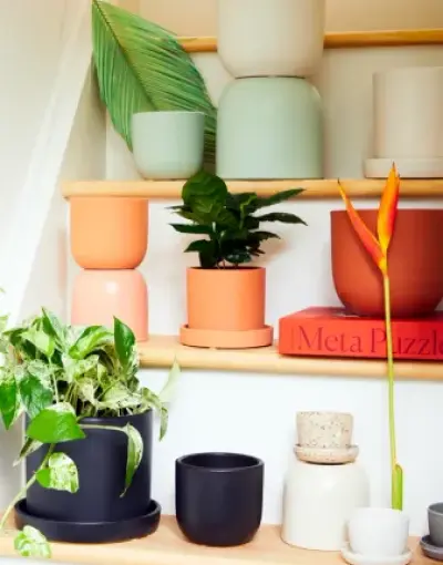 Catagory Product Images