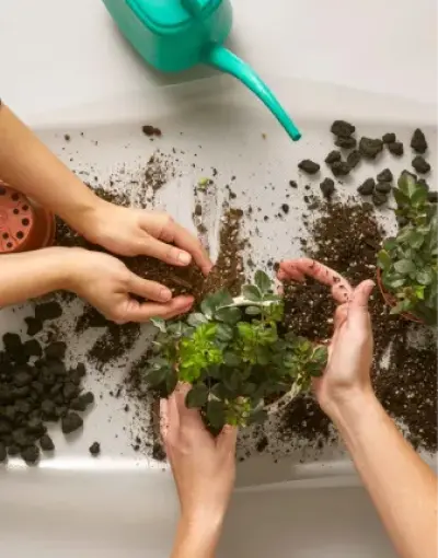 Catagory Product Images