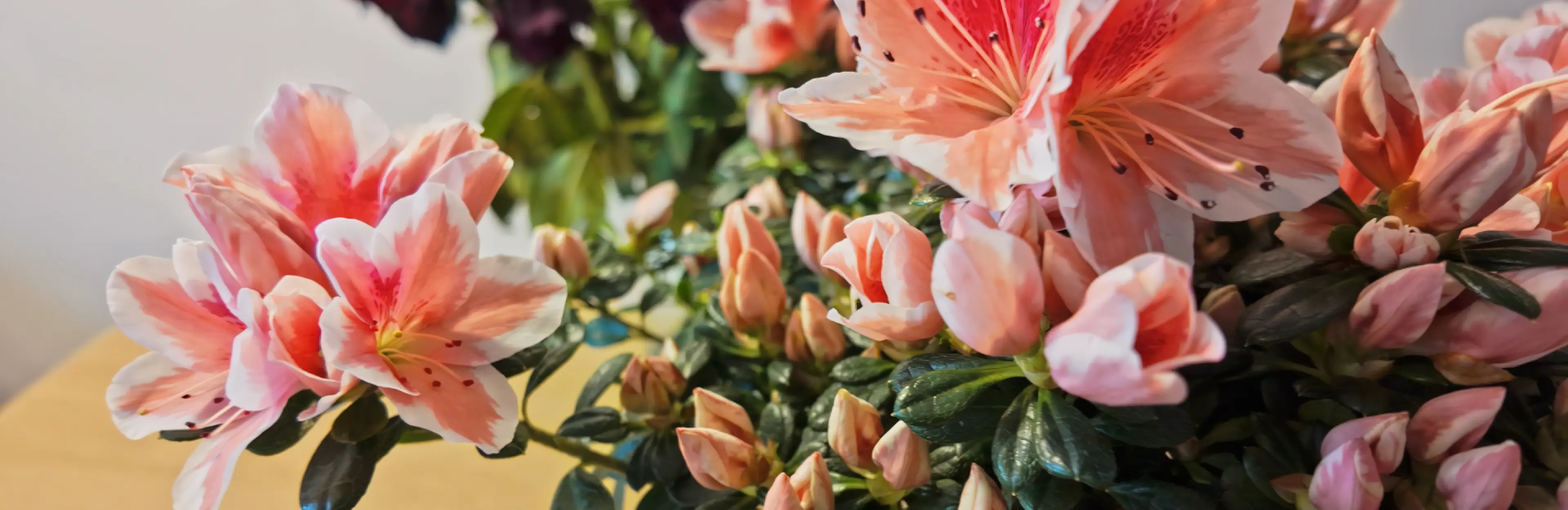 eCommerce Hero Slider