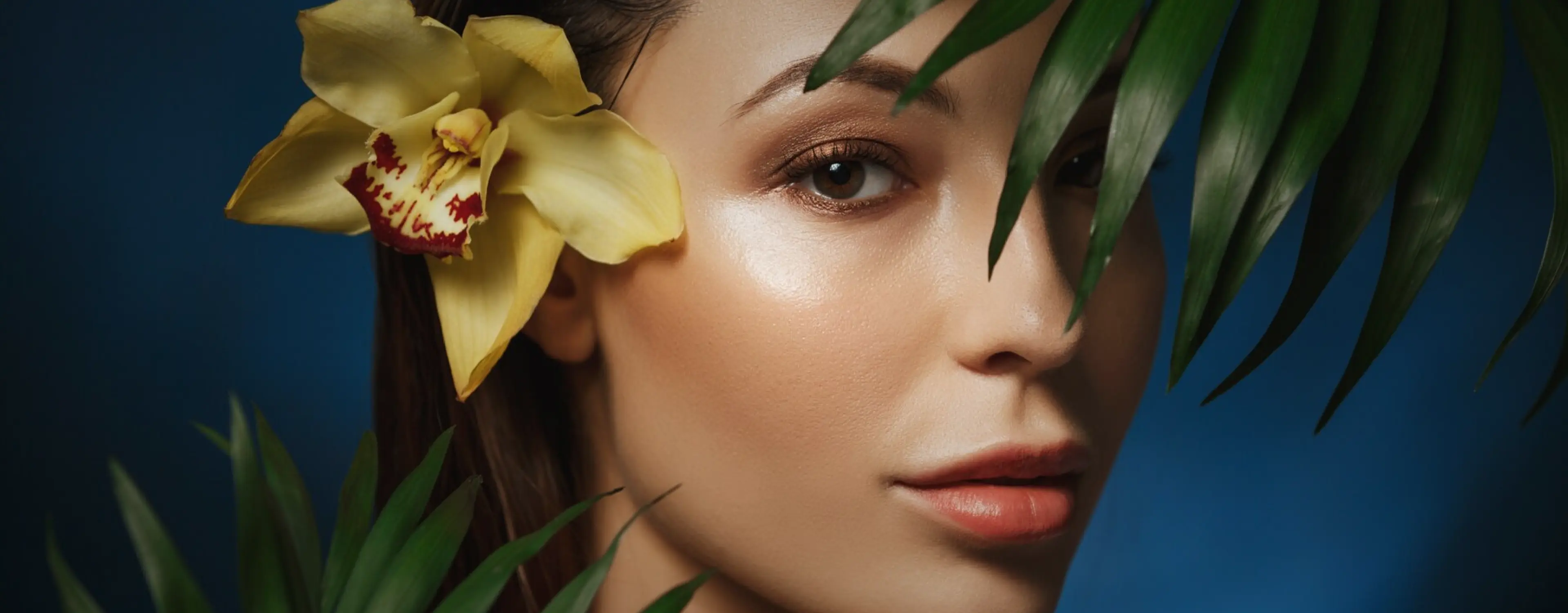 eCommerce Product Banner Background