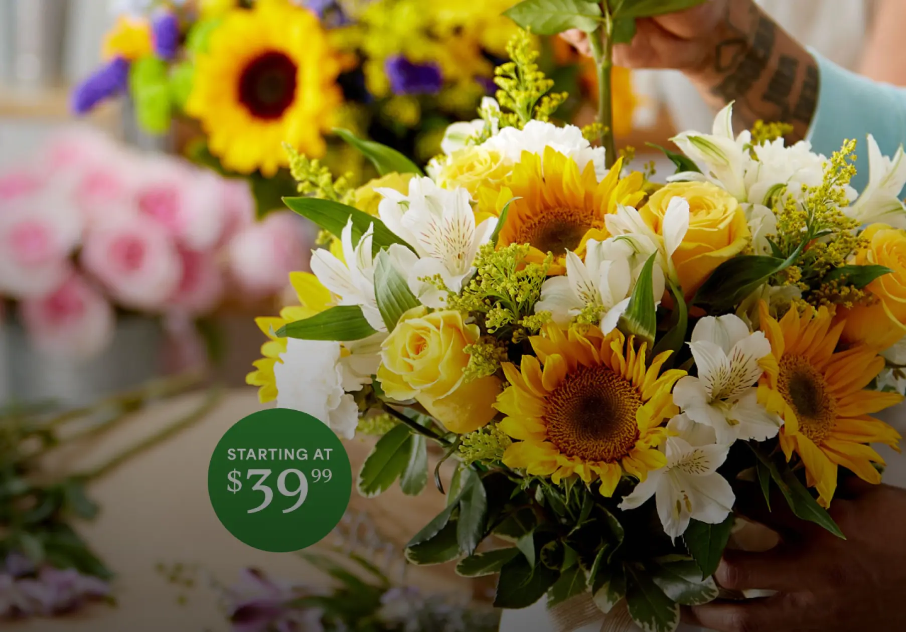 Catagory Product Images