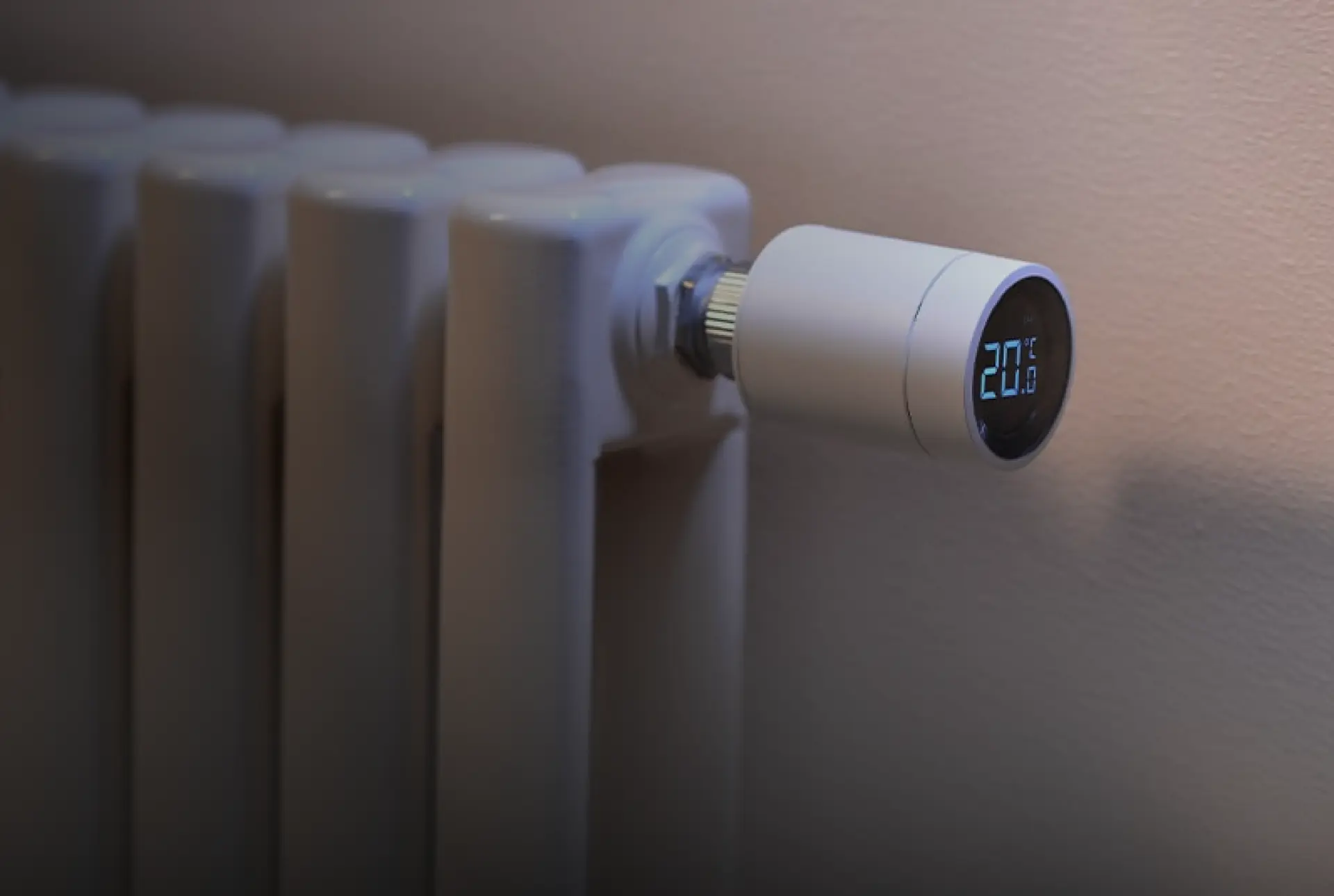 Catagory Product Images