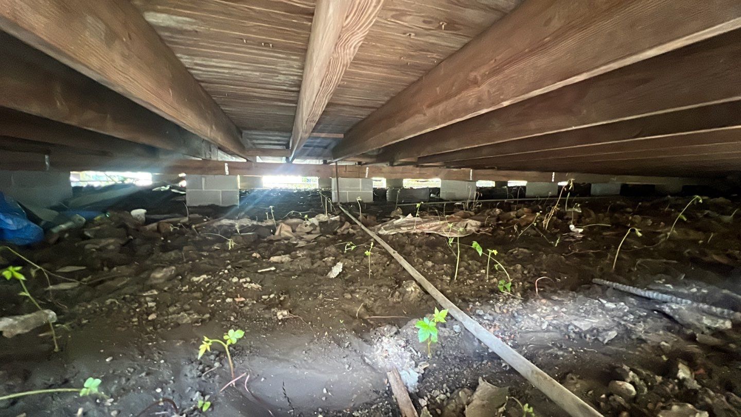 The underside of a house with dirt and plants, emphasizing foundation repair.