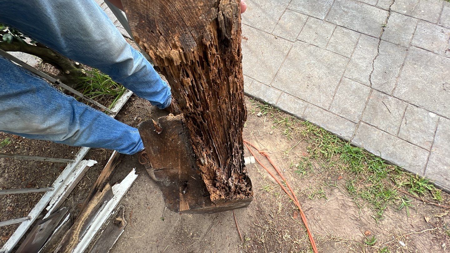 A man is removing a tree stump from the ground.